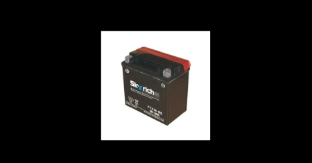 Аккумулятор YTX14-BS SKYRICH